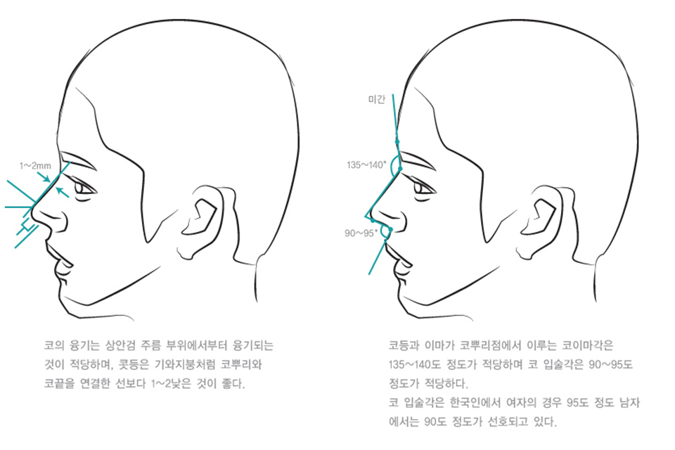 KFQBRf6a37OGdzcy_20180226.jpg 처진 코끝