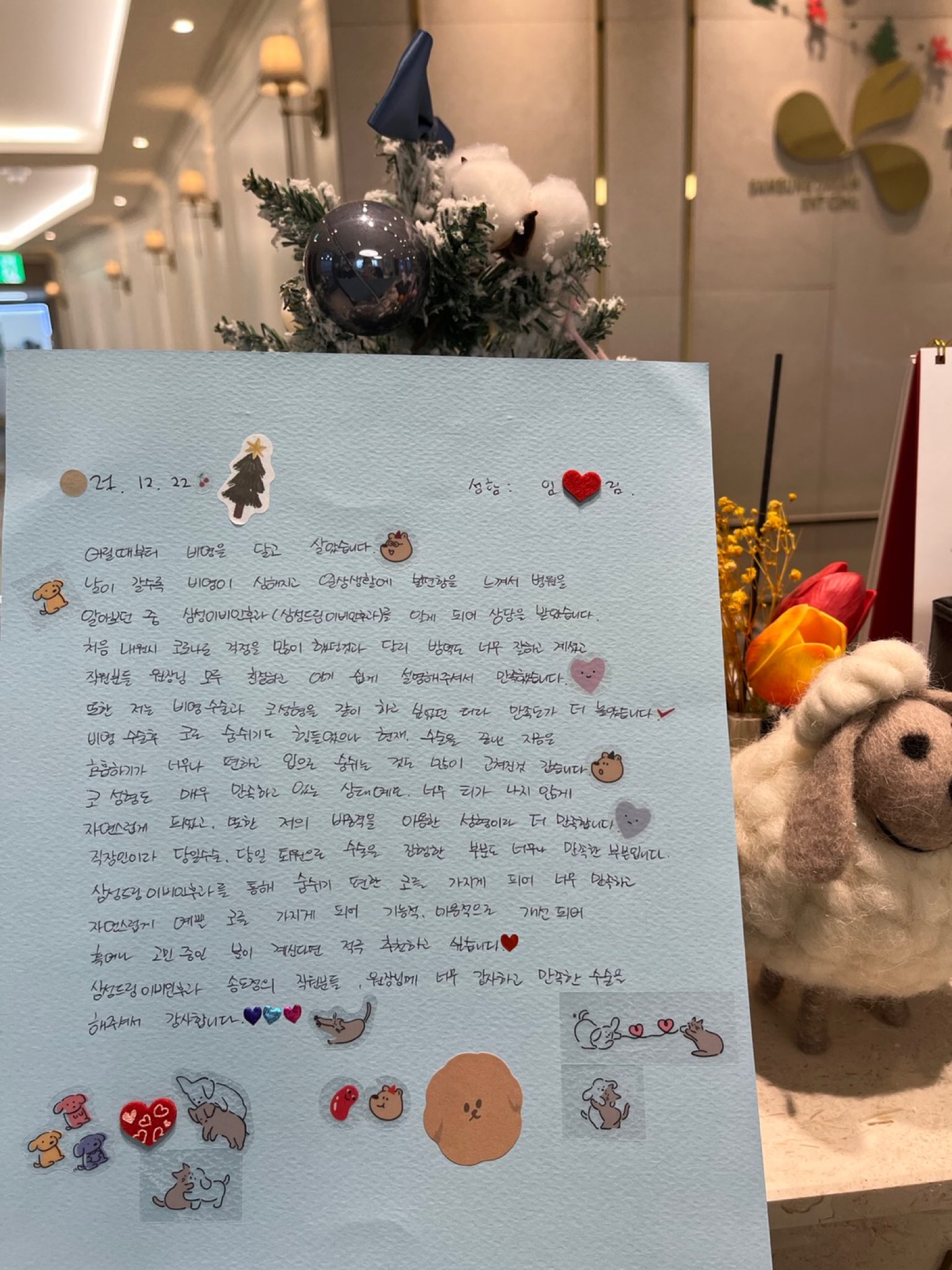 기능적, 미용적으로 개선되어 혹여나 고민중인 분이 계신다면 적극추천하고 싶습니다.☆비염,비중격만곡증,코성형☆