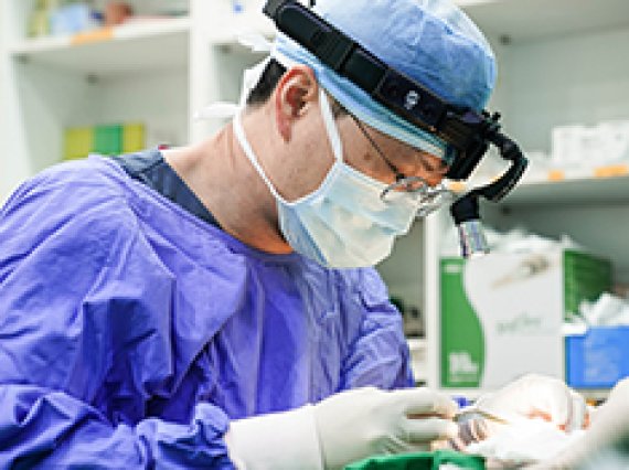보형물을 사용하지 않고, 코 성형이 정말 가능한가요?