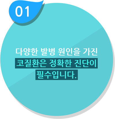 다양한 발병 원인을 가진 코질환은 정확한 진단이 필수입니다.