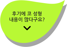 후기에 코 성형 내용이 많다구요?