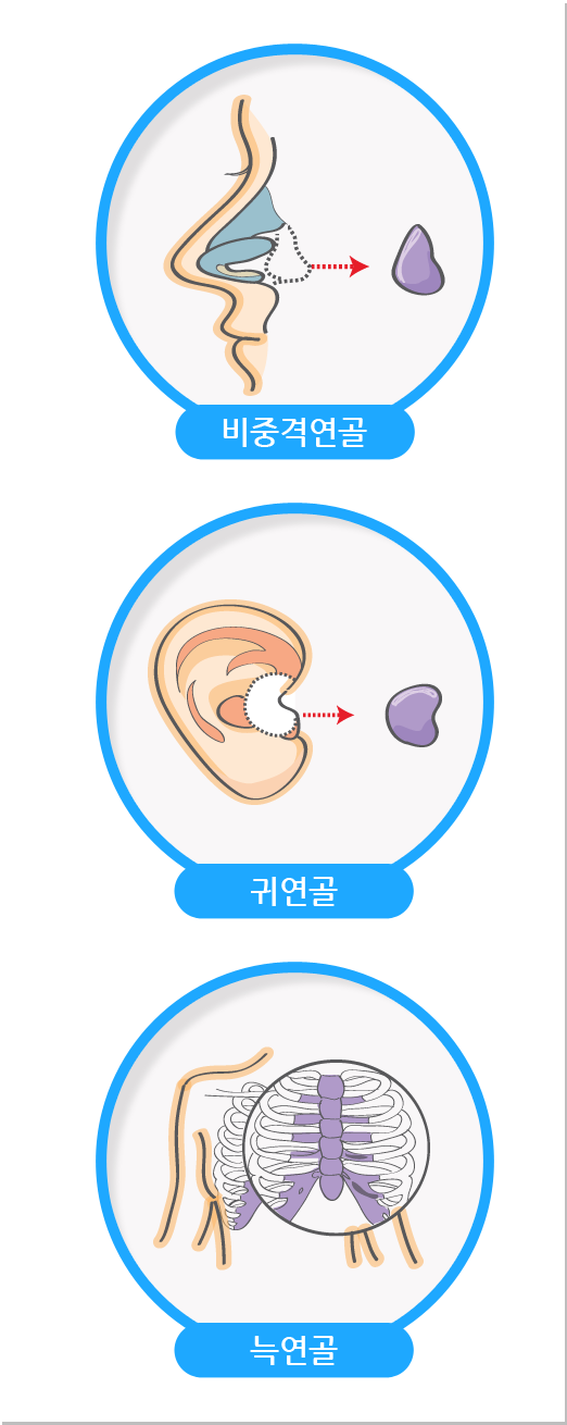 비중격연골, 귀연골, 늑연골