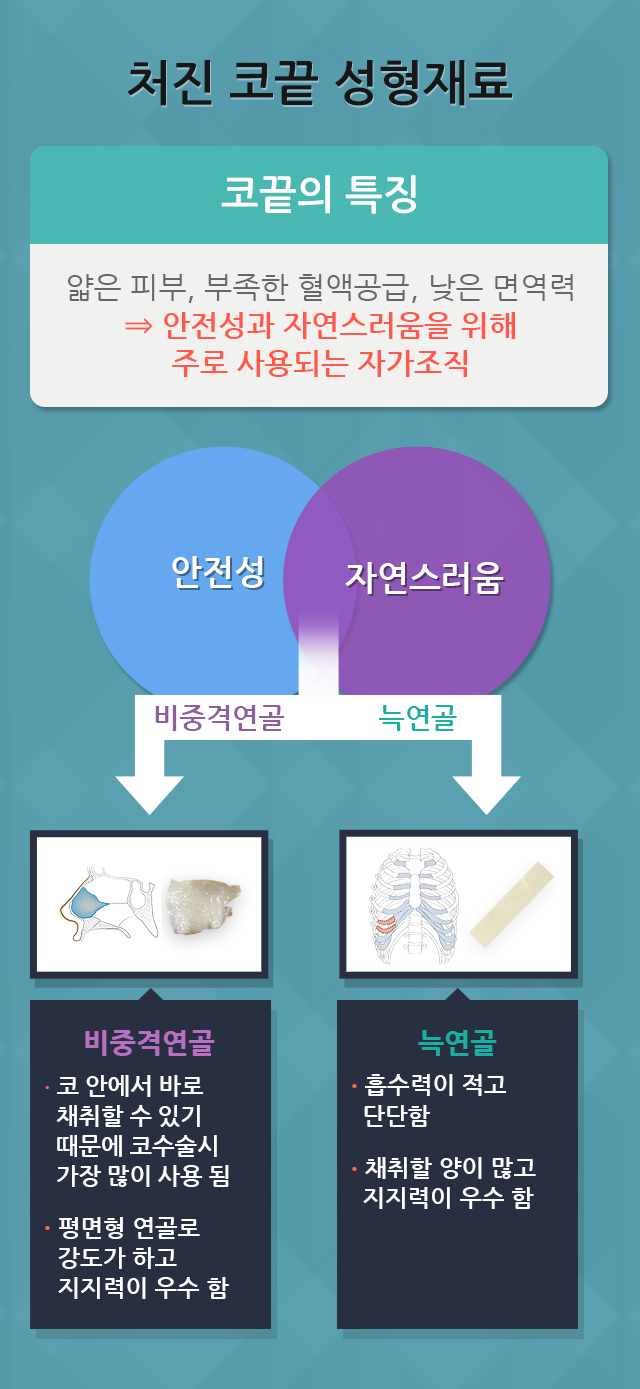 처진코끝