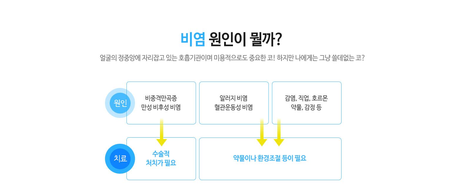 비염 원인이 뭘까? 얼굴의 정중앙에 자리잡고 있는 호흡기관이며 미용적으로도 중요한 코! 하지만 나에게는 그냥 쓸데없는 코? 원인 비중격만곡증, 만성 비후염 비염, 알러지비염, 혈관운동성 비염, 감염, 직업, 호르몬, 약물, 감정 등 치료 수술적 처치가 필요, 약물이나 환경조절 등이 필요