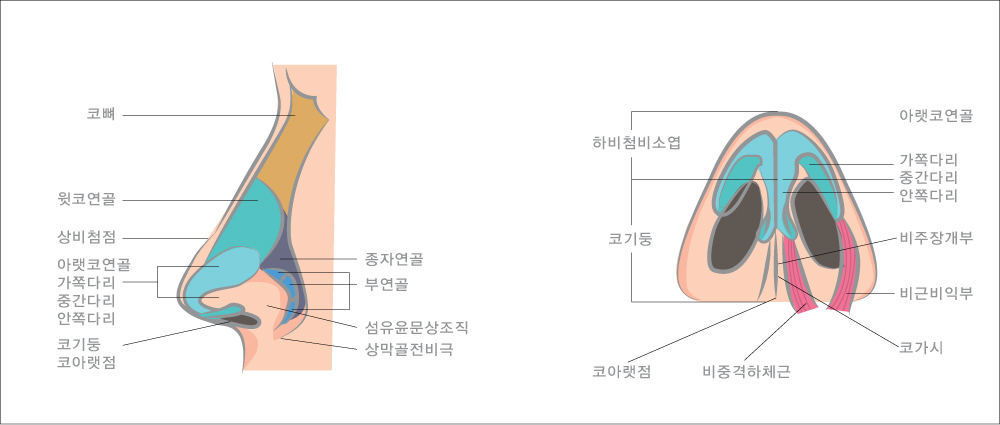 융비술