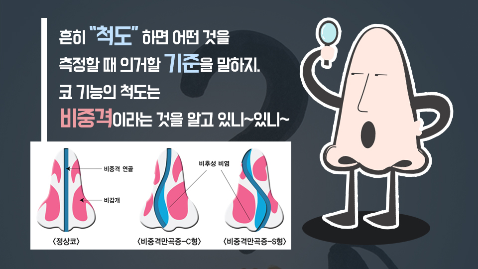 휜코교정 비용